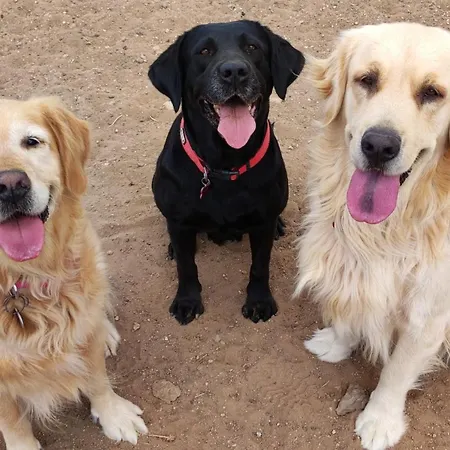 Penthouse El Balcon De Adeje *