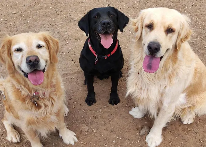 Penthouse El Balcon De Adeje *